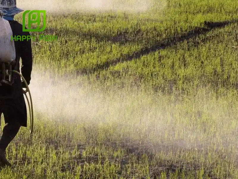 Hướng dẫn sử dụng và bảo quản Emamectin Benzoate an toàn, hiệu quả