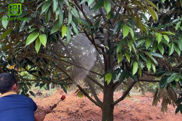 Lưu ý khi sử dụng