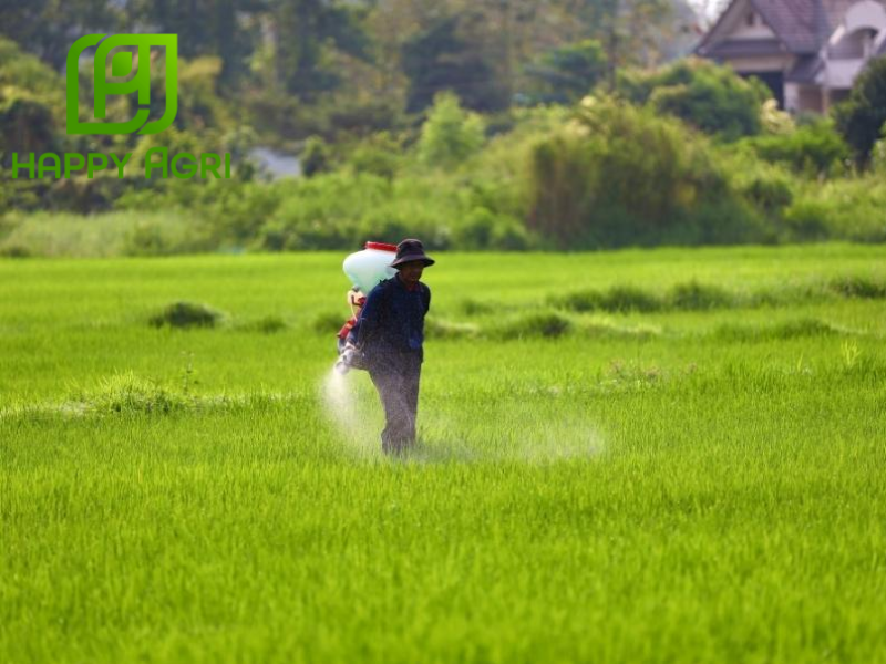 nông dân phun THUỐC TRỪ SÂU NOSAU 85WP HIỆU NORAY 850