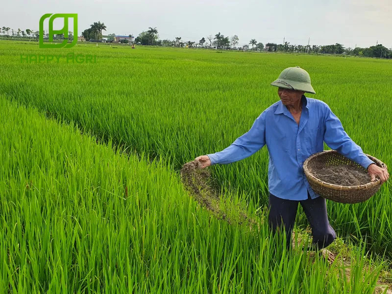 Lợi ích dùng phân organic