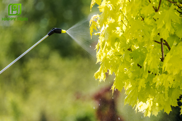 Lưu ý khi sử dụng