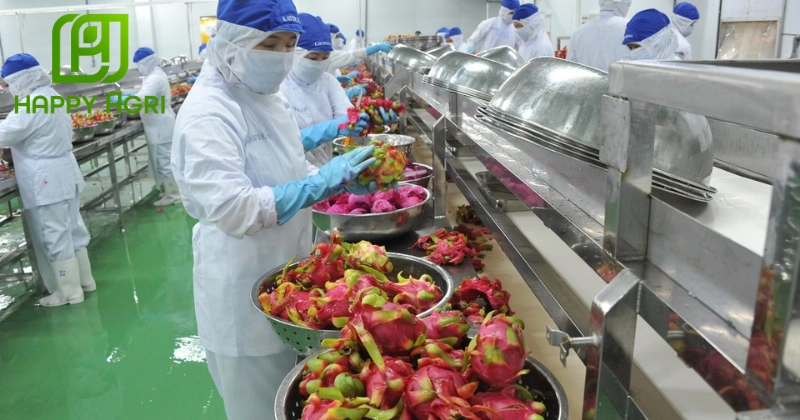 Các phương pháp và công nghệ bảo quản trái cây xuất khẩu phổ biến