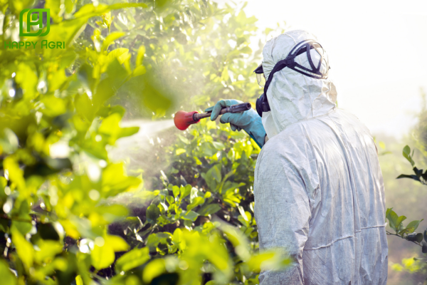 Hướng dẫn sử dụng an toàn và hiệu quả đạt 99%