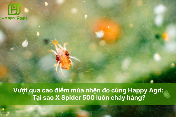 Vượt qua cao điểm mùa nhện đỏ cùng Happy Agri: Tại sao X Spider 500 luôn cháy hàng?