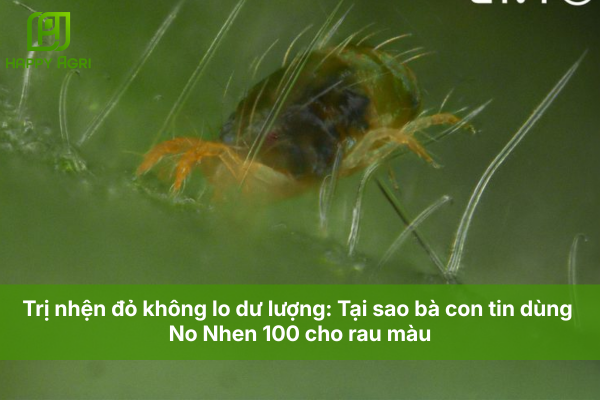 Trị nhện đỏ không lo dư lượng: Tại sao bà con tin dùng No Nhen 100 cho rau màu