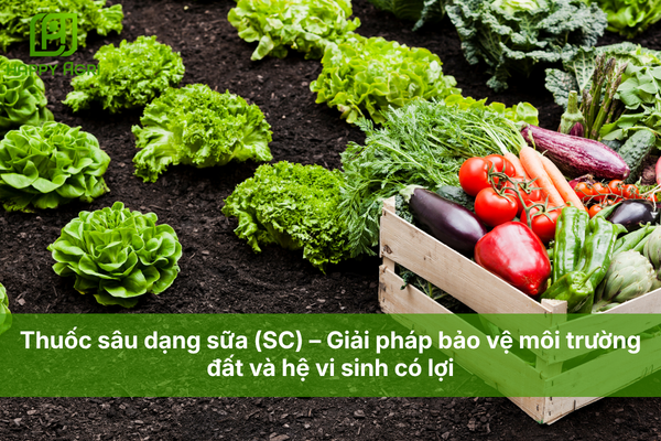 Thuốc sâu dạng sữa (SC) – Giải pháp bảo vệ môi trường đất và hệ vi sinh có lợi