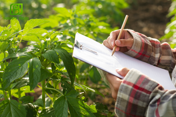 Câu hỏi thường gặp