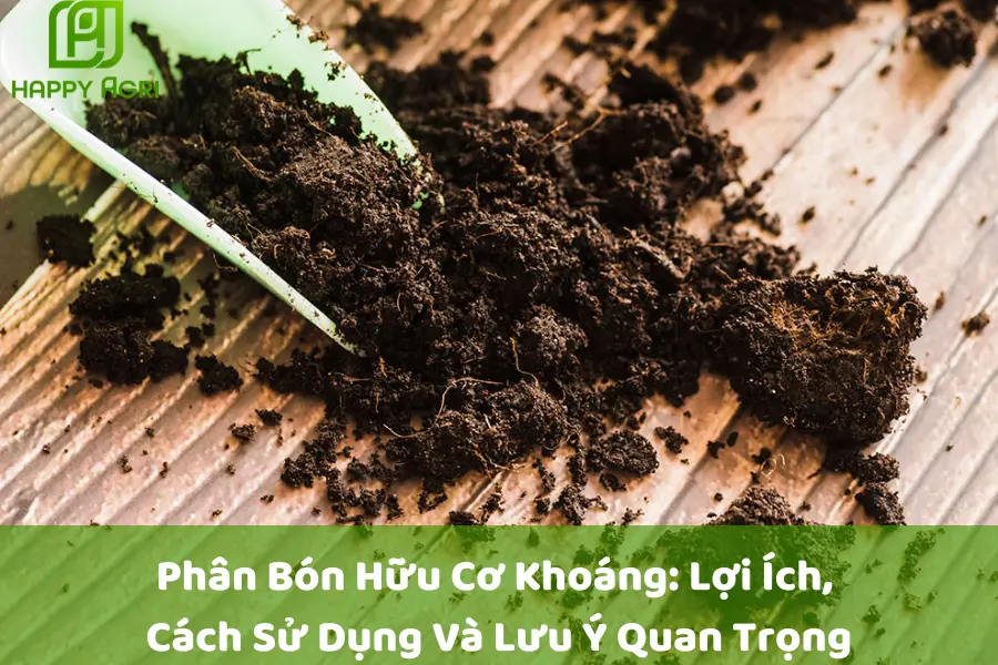 Phân Bón Hữu Cơ Khoáng: Lợi Ích, Cách Sử Dụng Và Lưu Ý Quan Trọng