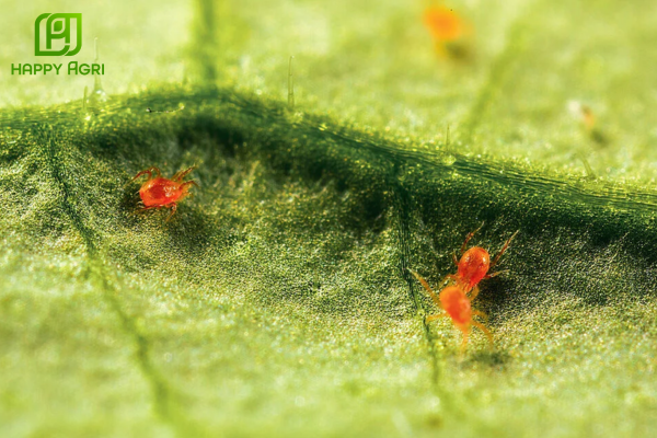 Câu hỏi thường gặp