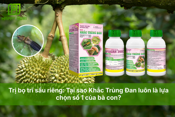 Trị bọ trĩ sầu riêng: Tại sao Khắc Trùng Đan luôn là lựa chọn số 1 của bà con?