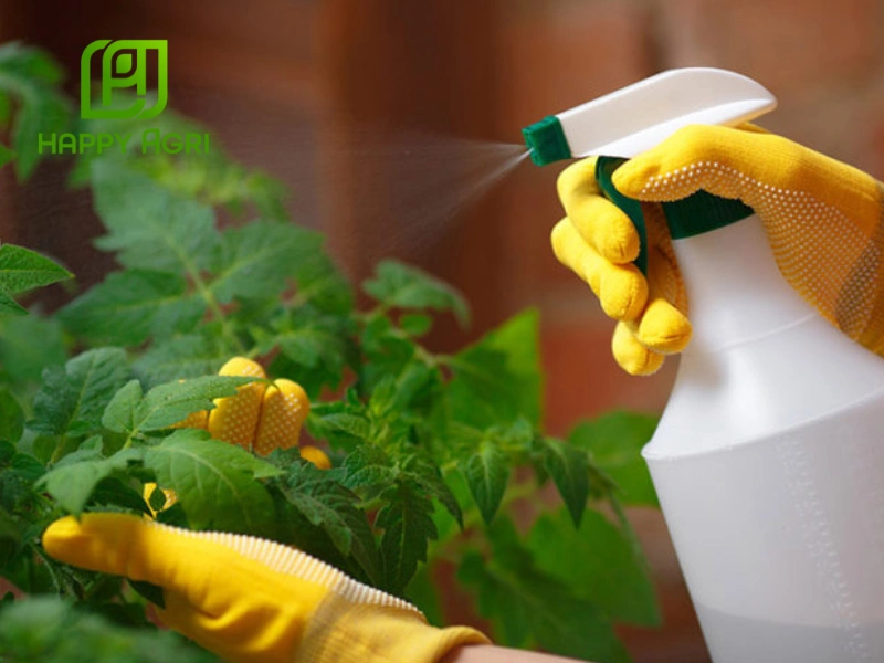 biện pháp phòng trừ sâu bệnh mùa mưa