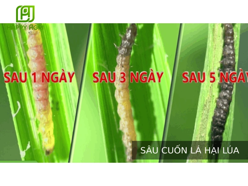 Thuốc trừ sâu