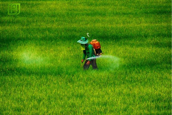 Lưu ý khi sử dụng