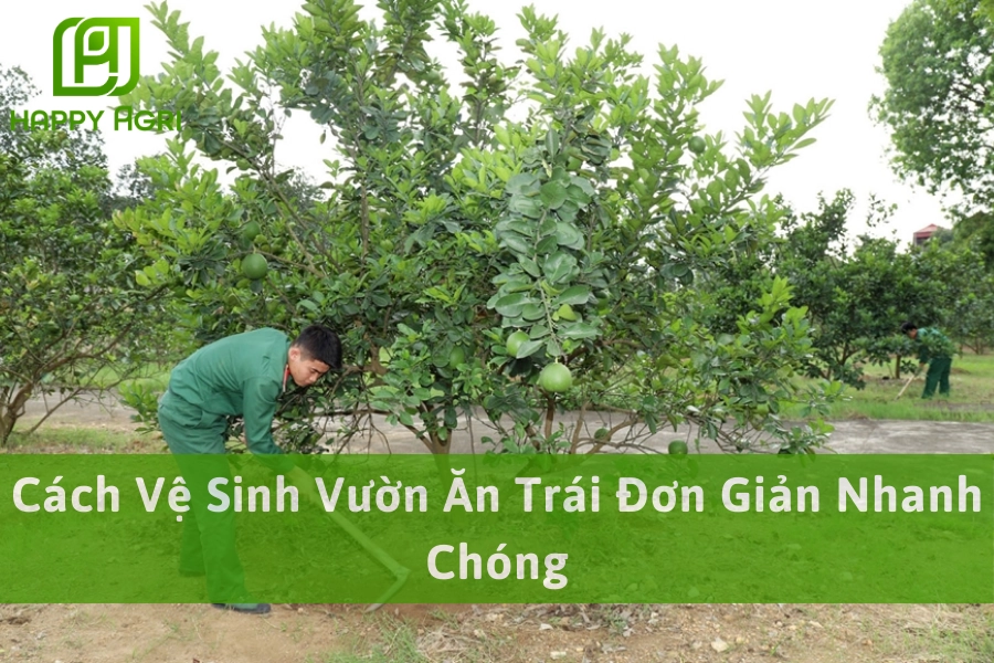Cách Vệ Sinh Vườn Ăn Trái Đơn Giản Nhanh Chóng