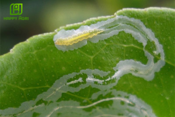 Câu hỏi thường gặp