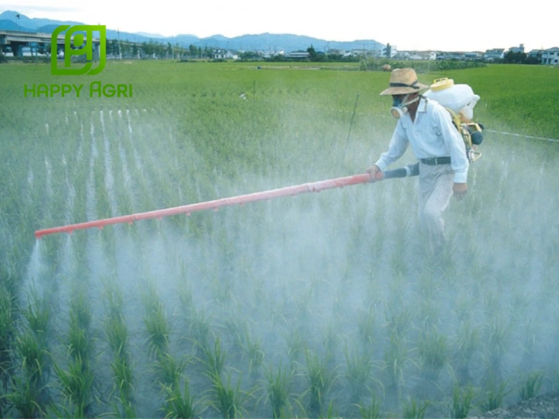 cách sử dụng thuốc trừ cỏ tiền nảy mầm