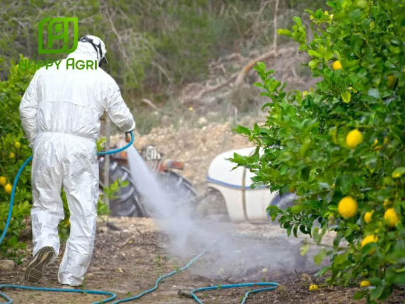 Hướng dẫn sử dụng hoạt chất Abamectin hiệu quả và an toàn