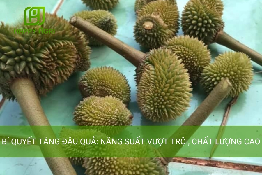 Cây Bị Méo Trái: Nguyên Nhân, Cách Khắc Phục Hiệu Quả