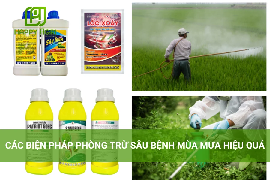 # Các Biện Pháp Phòng Trừ Sâu Bệnh Mùa Mưa Hiệu Quả