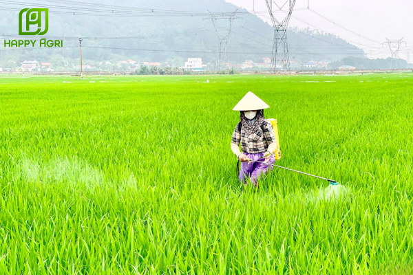 Lưu ý khi sử dụng