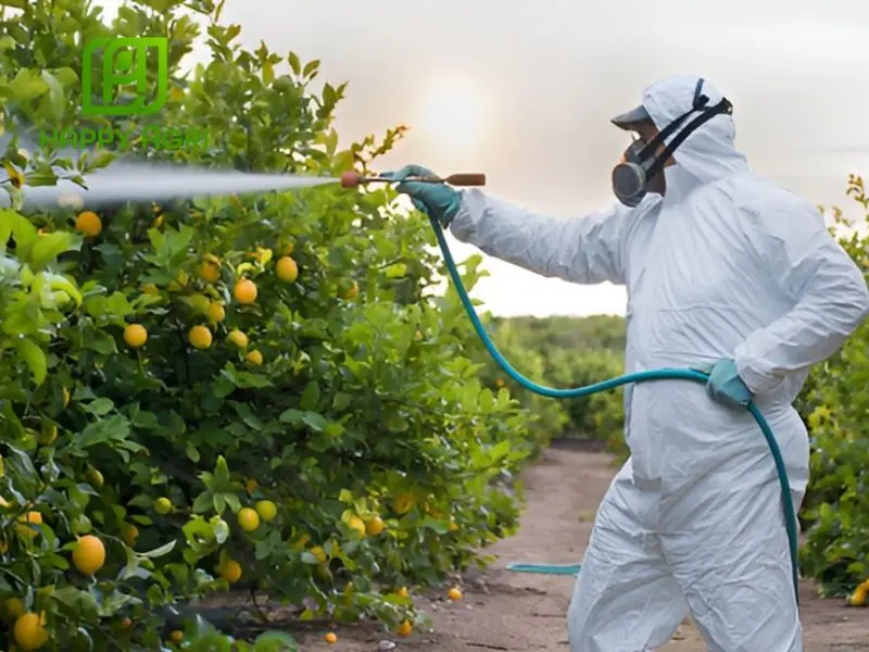 Hướng dẫn sử dụng thuốc trừ bệnh chứa hoạt chất Hexaconazole hiệu quả