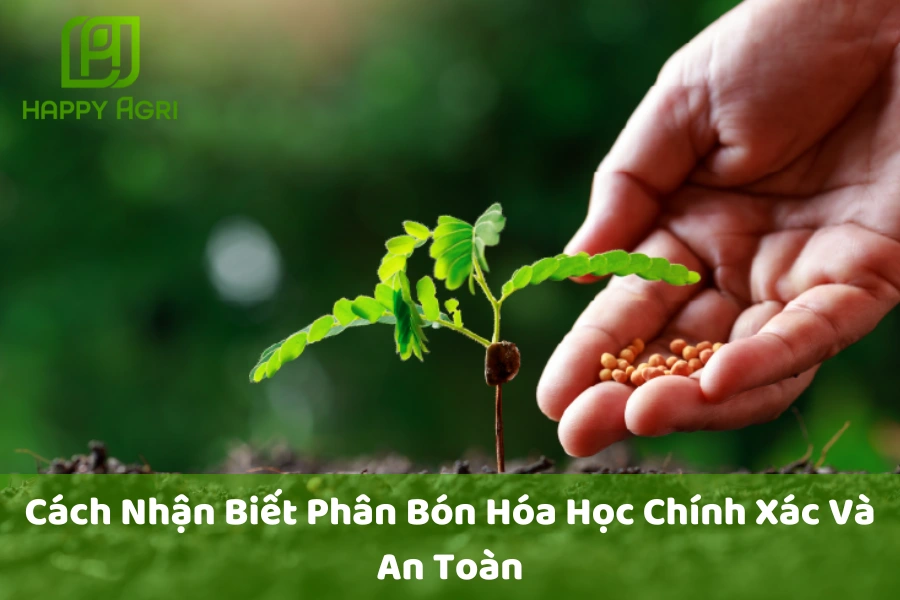 Cách Nhận Biết Phân Bón Hóa Học Chính Xác Và An Toàn