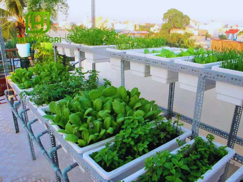 Thuốc trừ sâu Thần Dịch Trùng 200WP Voi Ma Mút