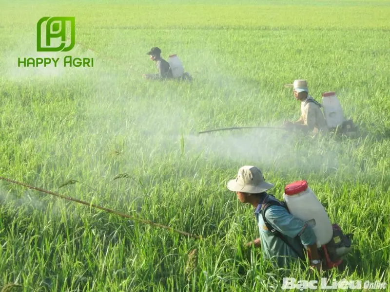 Hướng dẫn sử dụng và lưu ý an toàn khi dùng sản phẩm chứa Imidacloprid
