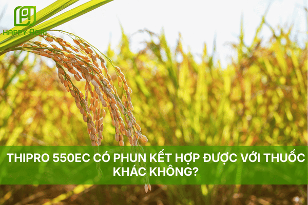 THIPRO 550EC CÓ PHUN KẾT HỢP ĐƯỢC VỚI THUỐC KHÁC KHÔNG?