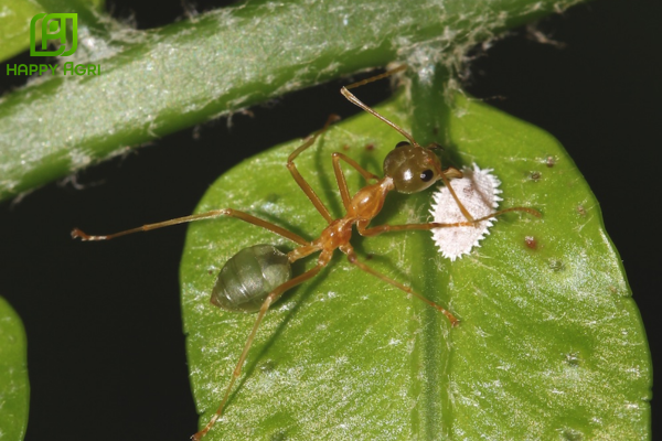 Câu hỏi thường gặp