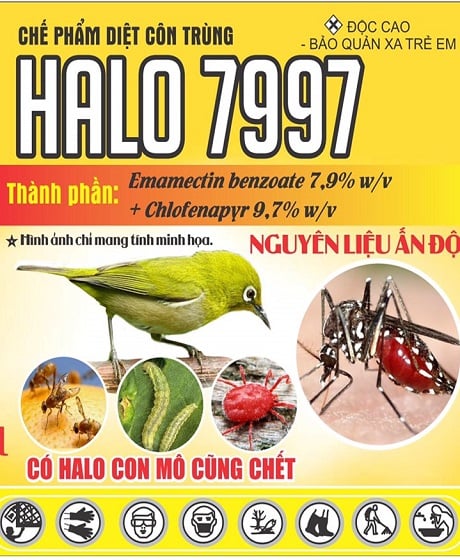 Chế phẩm diệt côn trùng Halo 7997