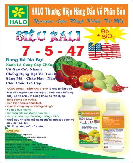 Siêu Kali 7-5-47